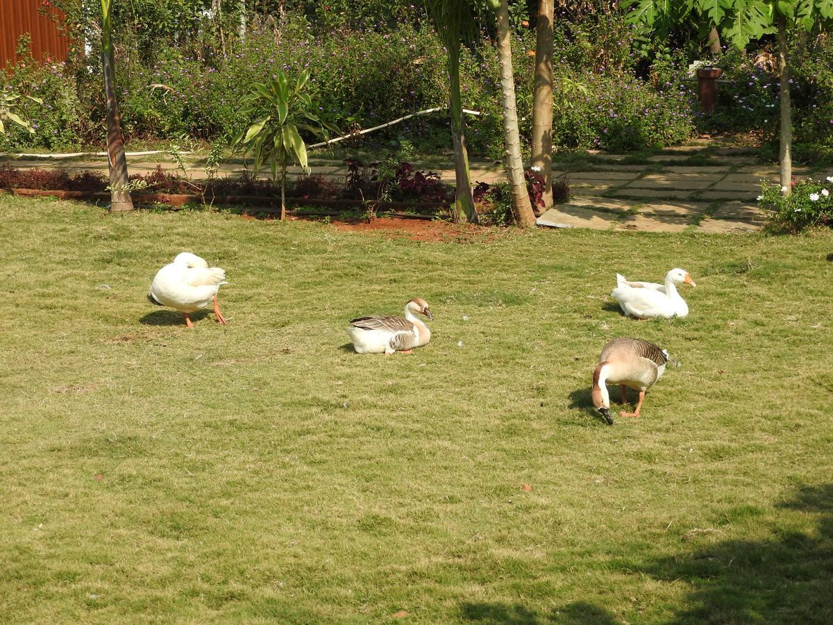 Nature Leap Resort Igatpuri Exterior foto